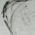 croquis05