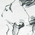 croquis11