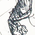 croquis16